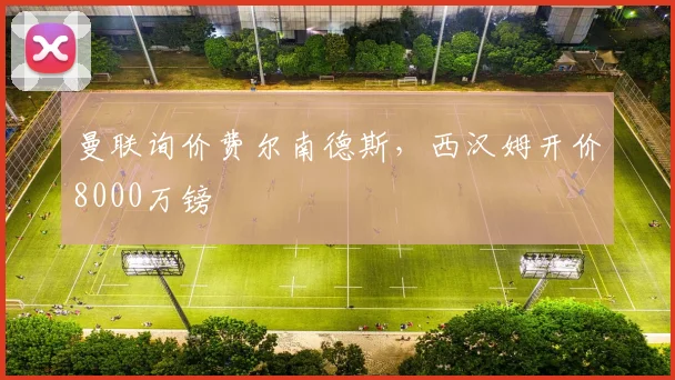 曼联询价费尔南德斯，西汉姆开价8000万镑